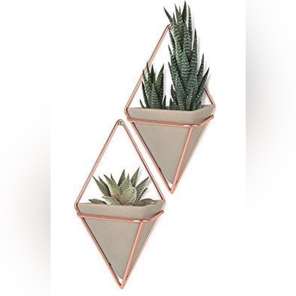Umbra TRIGG Wall Vessels